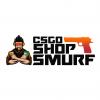 CsgoShopSmurf.com | Starting with 6.49$ | Prime Acc 31.99$ | Instant Delivery - last post by tsquadcrew