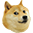 Doge