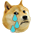 dogecry.png