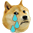 :dogecry: