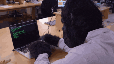 giphy.gif.7a69048886d75dfda421af614c151c2d.gif