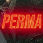 permbeezy